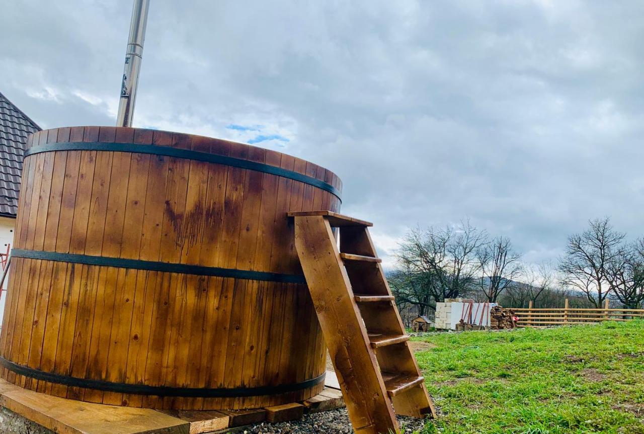 Conacul Maramuresean Bilgar Bogdan Vodă Extérieur photo